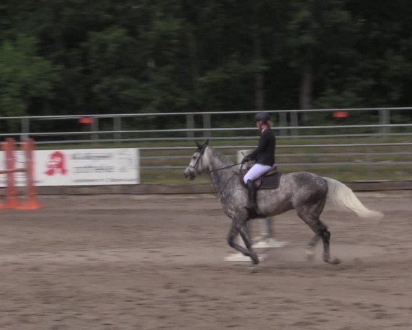 Reitturnier Lgl.-Oberhain, B95 2020