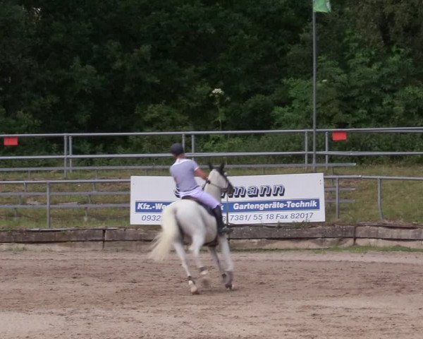 Reitturnier Lgl.-Oberhain, B95 2020