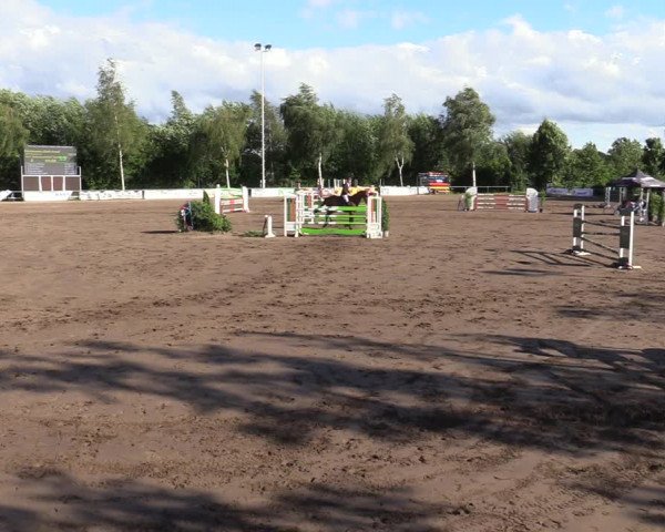 Reitturnier Seppenrade 2020