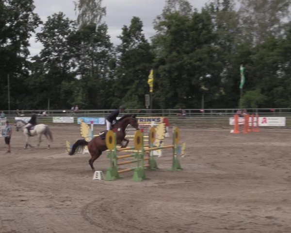Reitturnier Lgl.-Oberhain, B95 2020