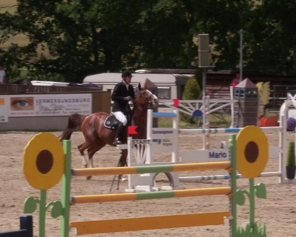Reitturnier Lgl.-Oberhain, B95 2020