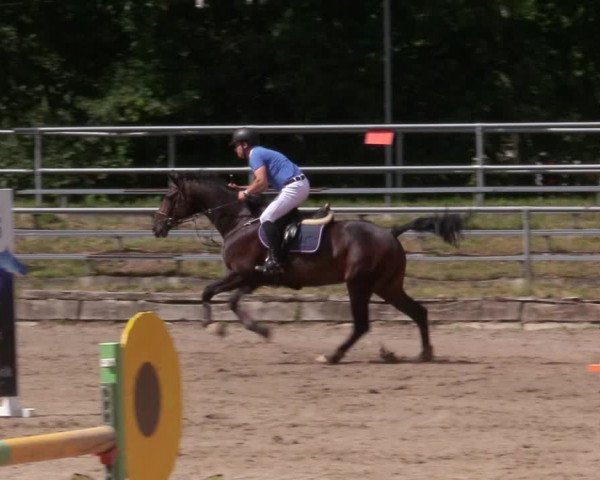 Reitturnier Lgl.-Oberhain, B95 2020