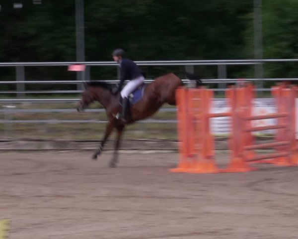 Reitturnier Lgl.-Oberhain, B95 2020