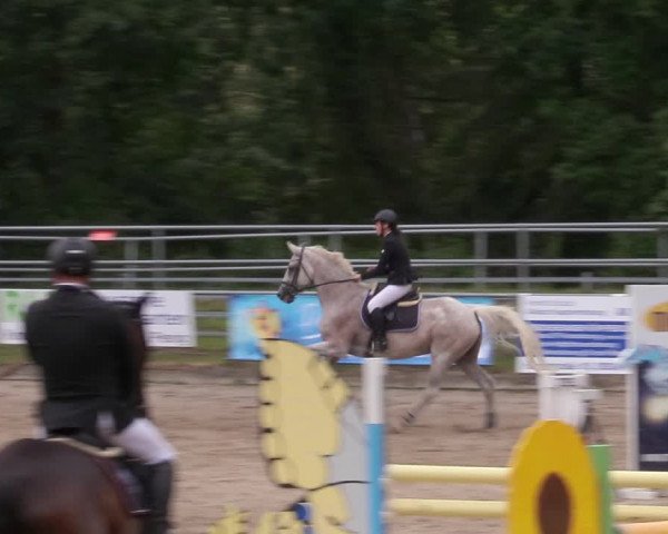 Reitturnier Lgl.-Oberhain, B95 2020