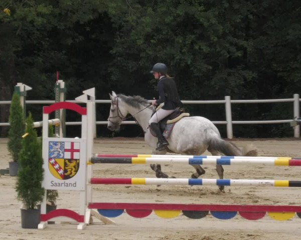 Reitturnier Losheim 2020