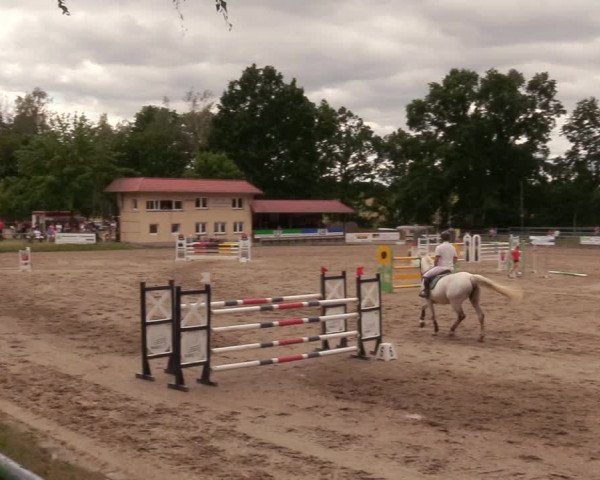 Reitturnier Lgl.-Oberhain, B95 2020