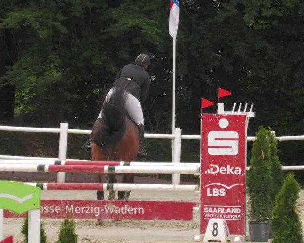 Reitturnier Losheim 2020