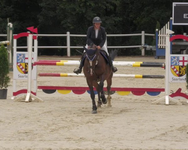 Reitturnier Losheim 2020