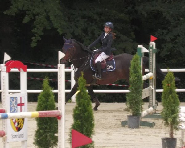 Reitturnier Losheim 2020
