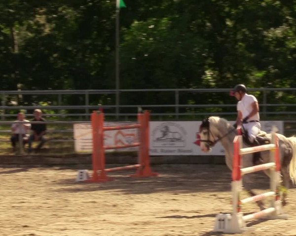 Reitturnier Lgl.-Oberhain, B95 2020