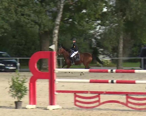Süddeutsche Ponymeisterschaften Rot am See- Musdorf 2021