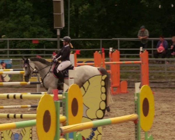 Reitturnier Lgl.-Oberhain, B95 2020