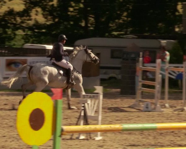 Reitturnier Lgl.-Oberhain, B95 2020