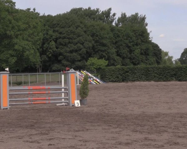 Reitturnier Lentzke - Reitanlage Krehl 2020