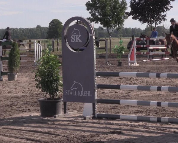 Reitturnier Lentzke - Reitanlage Krehl 2020