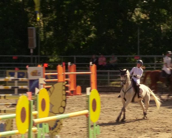 Reitturnier Lgl.-Oberhain, B95 2020