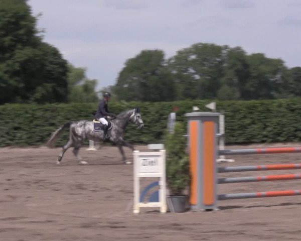 Reitturnier Lentzke - Reitanlage Krehl 2020