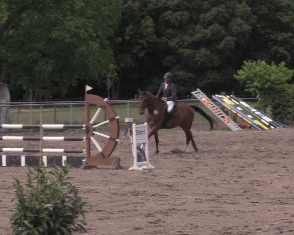 Reitturnier Lentzke - Reitanlage Krehl 2020