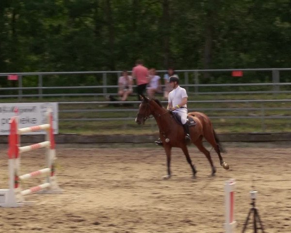 Reitturnier Lgl.-Oberhain, B95 2020