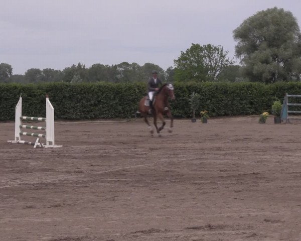 Reitturnier Lentzke - Reitanlage Krehl 2020