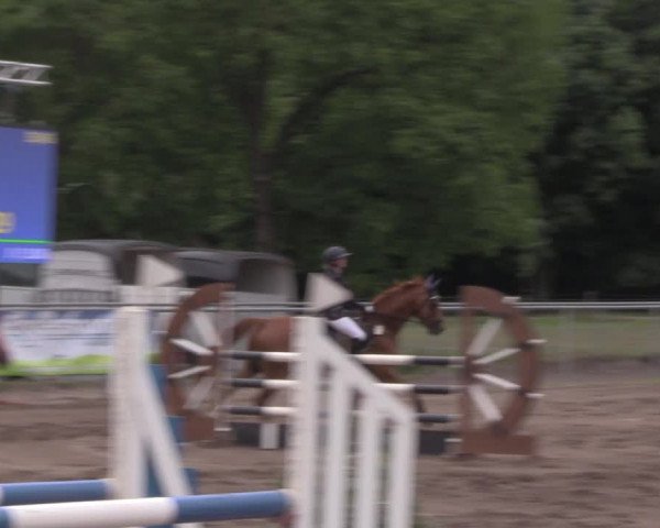 Reitturnier Lentzke - Reitanlage Krehl 2020