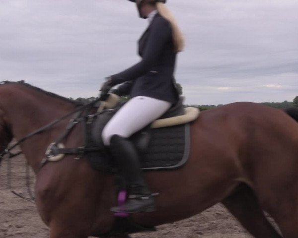 Reitturnier Lentzke - Reitanlage Krehl 2020