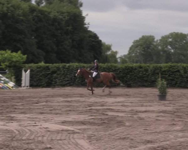 Reitturnier Lentzke - Reitanlage Krehl 2020