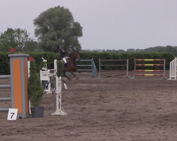 Reitturnier Lentzke - Reitanlage Krehl 2020