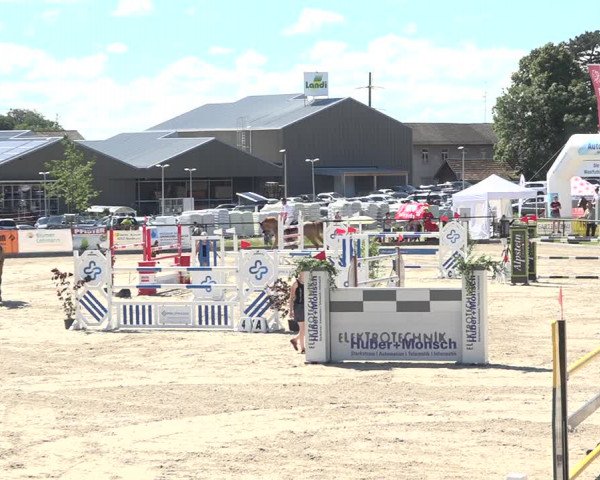 Reitturnier Gossau (Stall Sommersweid) 2020