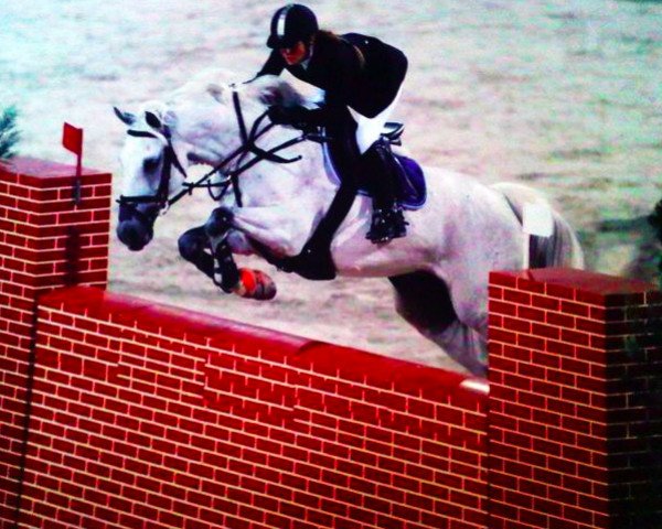jumper Cayano (Holsteiner, 1997, from Carolus I)