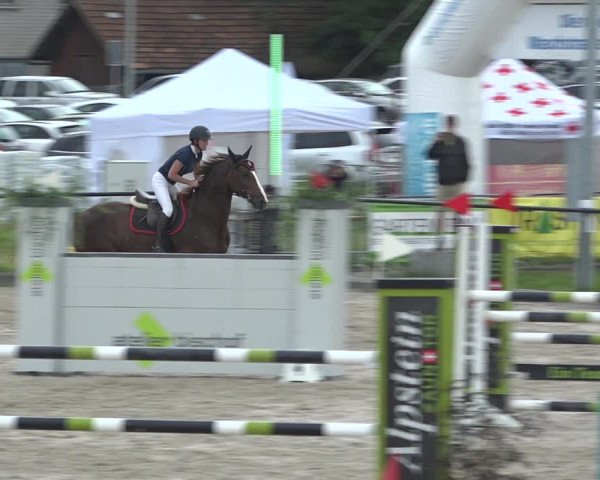 Reitturnier Gossau (Stall Sommersweid) 2020
