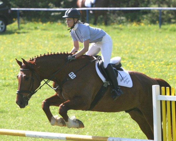 jumper Hansi 297 (Mecklenburg, 2002, from D'Olympic)