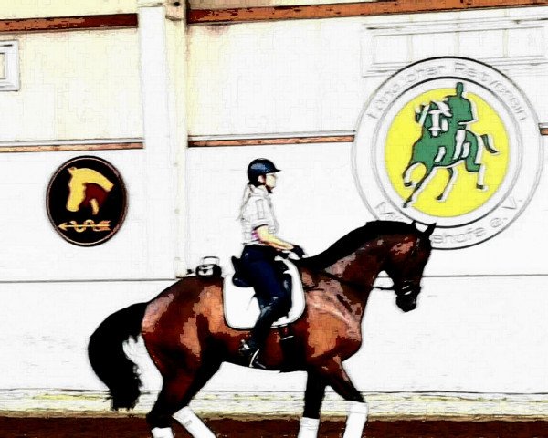 horse Dahlwitz 5 (German Sport Horse, 2013, from Destano)