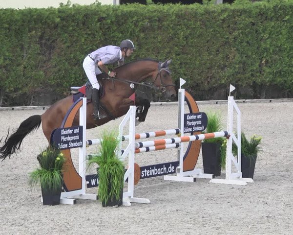 Reitturnier Worms-Pfeddersheim / Reitsportanlage Wittemer 2020