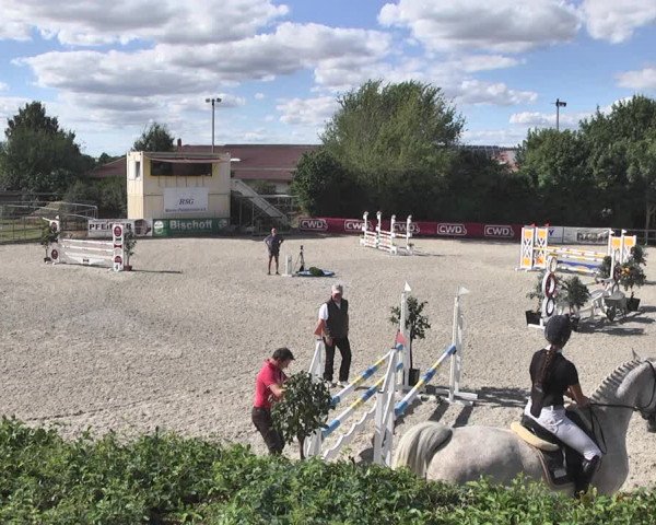 Reitturnier Worms-Pfeddersheim / Reitsportanlage Wittemer 2020