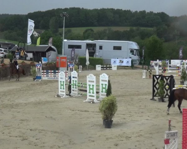 Reitturnier Lindlar-Süttenbach 2020