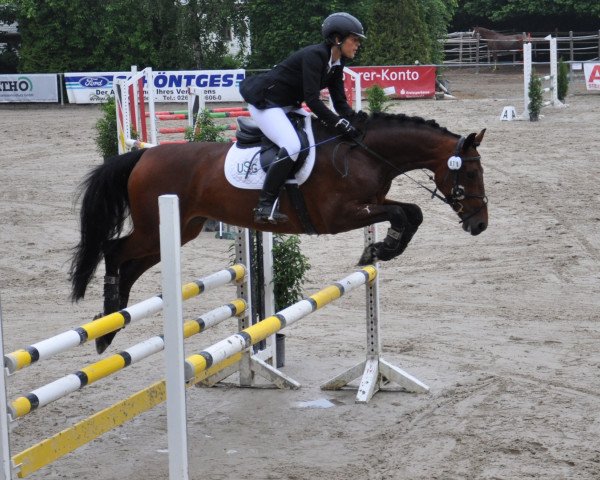 Springpferd Zalidia (Holsteiner, 2007, von Cartani 4)