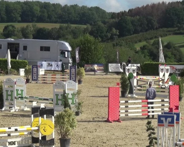 Reitturnier Lindlar-Süttenbach 2020