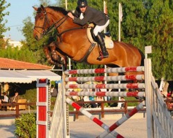 jumper Leonello 3 (Hanoverian, 2003, from Landgold)