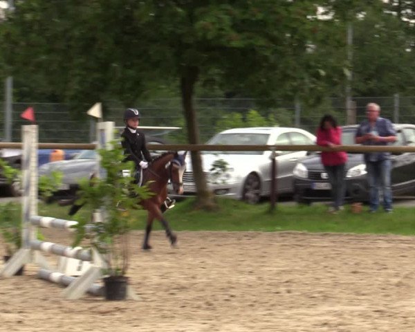 Reitturnier Halver 2020