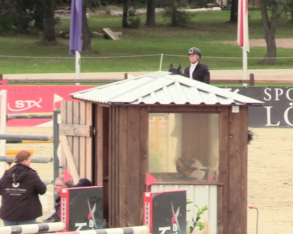 Reitturnier Westergellersen 2021