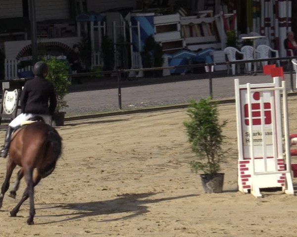 Reitturnier Hamm-Rhynern 2020