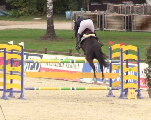 Reitturnier Westergellersen 2021