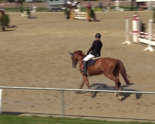 Reitturnier Hamm-Rhynern 2020