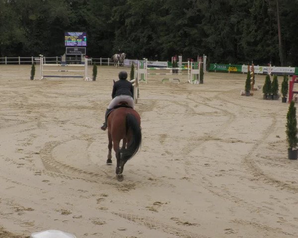 Reitturnier Losheim 2020