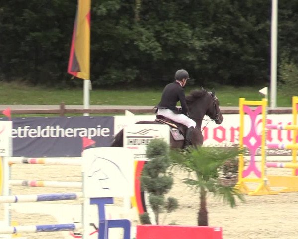 Reitturnier Westergellersen 2021