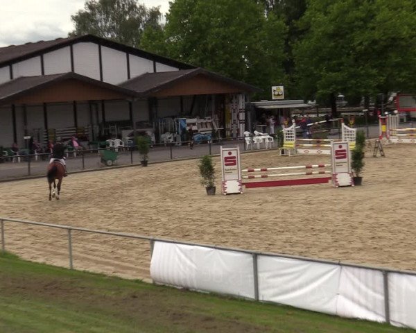 Reitturnier Hamm-Rhynern 2020