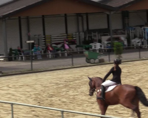 Reitturnier Hamm-Rhynern 2020