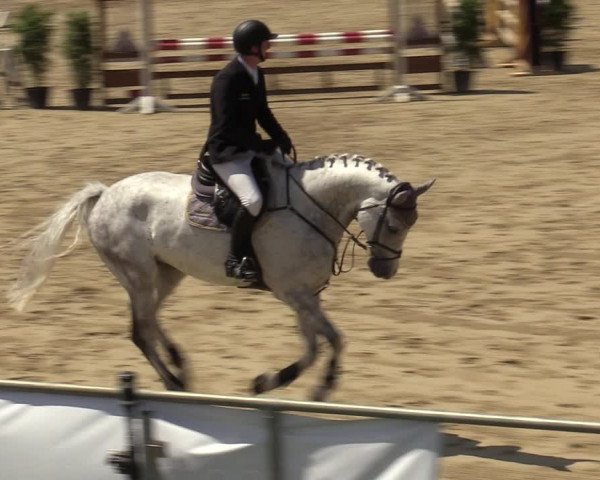 Reitturnier Hamm-Rhynern 2020