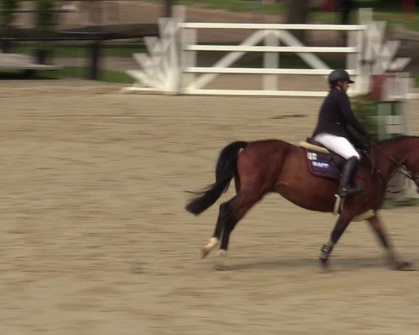 Reitturnier Hamm-Rhynern 2020